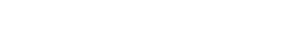 SaaSAudit